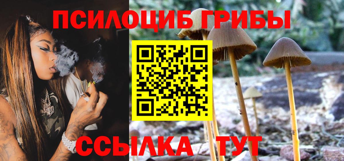 Псилоцибиновые грибы ЛСД Азнакаево